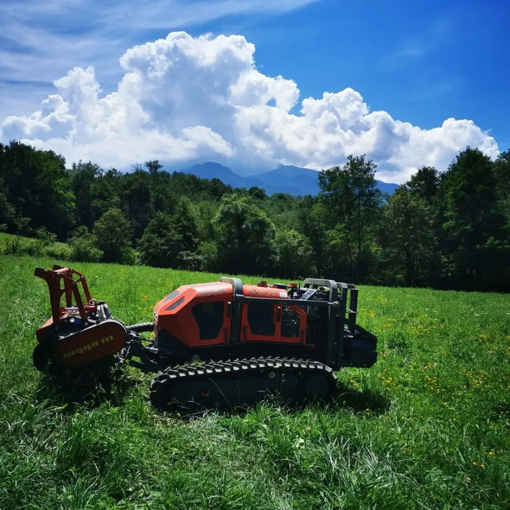 obligations de débroussailler à Ponteilla
